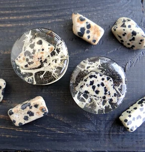 Stone ear plug and tunnel Double flared DALMATIAN JASPER gauges for men 1/2" - Picture 1 of 8
