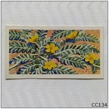 Brooke Bond Wild Flowers Series 3 #22 Silverweed Tea Card (CC134)