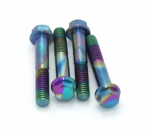 Titanium Dirt bike engine Bolts by Flo Motorsports Dirtbike M6 x 40mm Rainbow - Picture 1 of 6