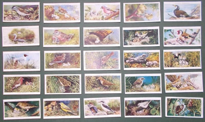 original cigarette cards by Player's - Birds and their young 1 ST SERIES UNISSUE - Image 1 of 2