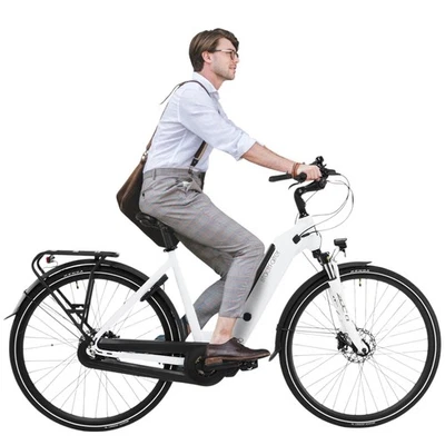 AsVIVA E-Bike 28" Hollandrad Stadtfalter B14 Pedelec 36V Mittelmotor Elektro Rad - Bild 1 von 4