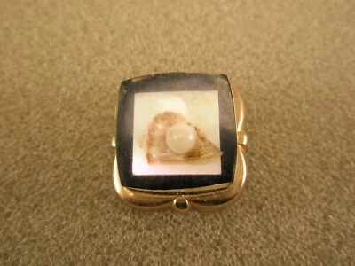 Prendedor de solapa vintage de perlas y concha de ostras con revestimiento de acrílico k46 Foto 1 de 4