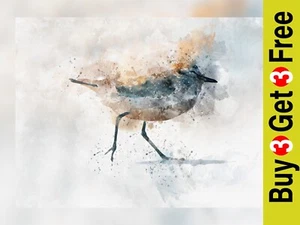 Sandpiper bird wall art print,  watercolour painting of a bird - Picture 1 of 9