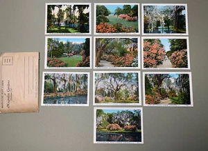 Antique Lot of 10 South Carolina Mini Magnolia Flower Gardens Postcards Envelope - Picture 1 of 8