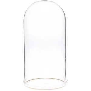 Plymor 5.5" x 11" Glass Display Dome Cloche w/ Gold Rim (Clear Glass Tray Base) - Picture 1 of 1