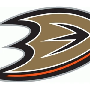 Various Anaheim Ducks Jerseys, Rookies, Autos, etc U Pick .99 and UP - Picture 1 of 113
