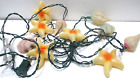 Kurt Adler Coastal Seashells String Light Set of 10 Blow Molded Shells 14' L