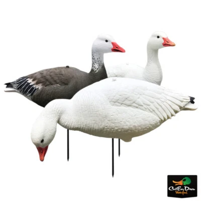 WHITE ROCK EVAC SERIES FULL BODY SNOW / BLUE GOOSE DECOYS 12 PACK COMBO - Image 1 of 3