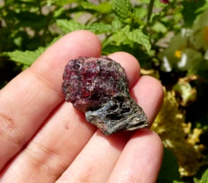 Rare Grenat dans Biotite 3cm Hamaroy Norvège minéraux collection lithothérapie - Picture 1 of 4