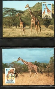 Kenya 1989 set Giraffe/WWF stamps (Michel 481/84) nice used on Postcards - Picture 1 of 2