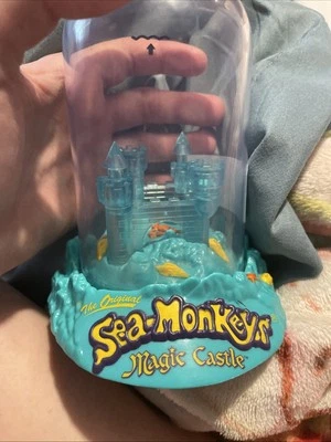 El Original Increíble Monos Marinos Vivos Castillo Mágico Acuario Marino Foto 1 de 3