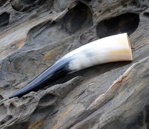 Trinkhorn poliert 0,7 L, Wikinger, Trinkhörner, Met Horn, Viking Horn, LARP. - Bild 1 von 10