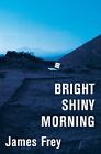 Bright Shiny Morning by James Frey Book The Cheap Fast Free Post