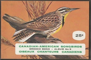 BROOKE BOND (TEA)-EMPTY ALBUM (CANADA)- CANADIAN AMERICAN SONGBIRDS 1963 - Picture 1 of 2