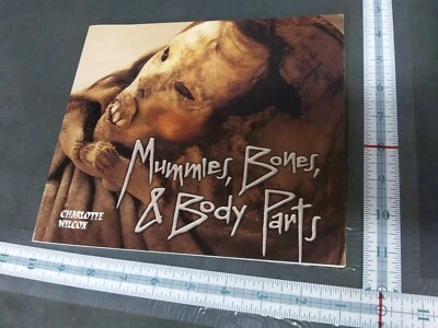 Mummies, Bones, & Body Parts Charlotte Wilcox paperback 2001 - Image 1 of 4