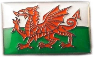 Welsh Flag Enamel Pin Badge - Picture 1 of 1