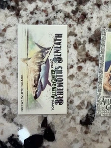 2020 TOPPS ALLEN & GINTER MINI BEHEMOTHS BENEATH CARD GREAT WHITE SHARK #MGB-9 - Picture 1 of 1