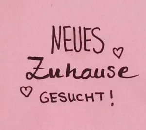 Mietwohnung - Bild 1 von 1