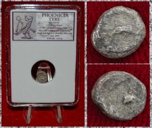 Moneda Antigua NEUMÁTICO FENICIA Delfín y Búho Plata 1/12 Shekel - Imagen 1 de 4