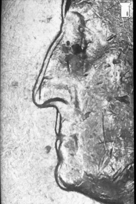 1990 P Washington quarter profile doubling error - Image 1 of 4