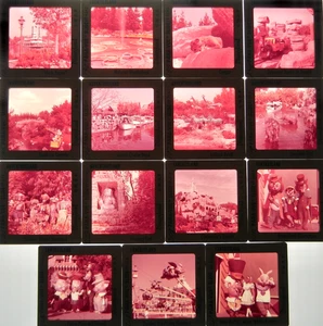 Org 1960s Photo PANA-VUE Souvenir SLIDE LOT Amusement Park DISNEYLAND Adventure - Picture 1 of 5