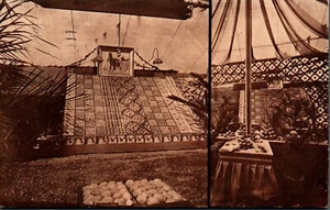 POSTKARTE BLOOOMINGTON'S DESPLAY NATIONAL ORANGE SHOW SAN BERNARDINO KALIFORNIEN - Bild 1 von 2