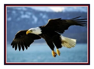 American Bald Eagle Flight USA Bird Counted Cross Stitch Pattern - Picture 1 of 5