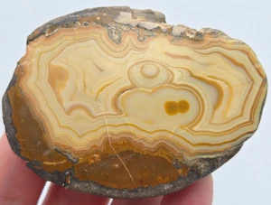 +++ AGATE (FAIRBURN) ARDMORE, SOUTH DAKOTA +++ - Picture 1 of 8