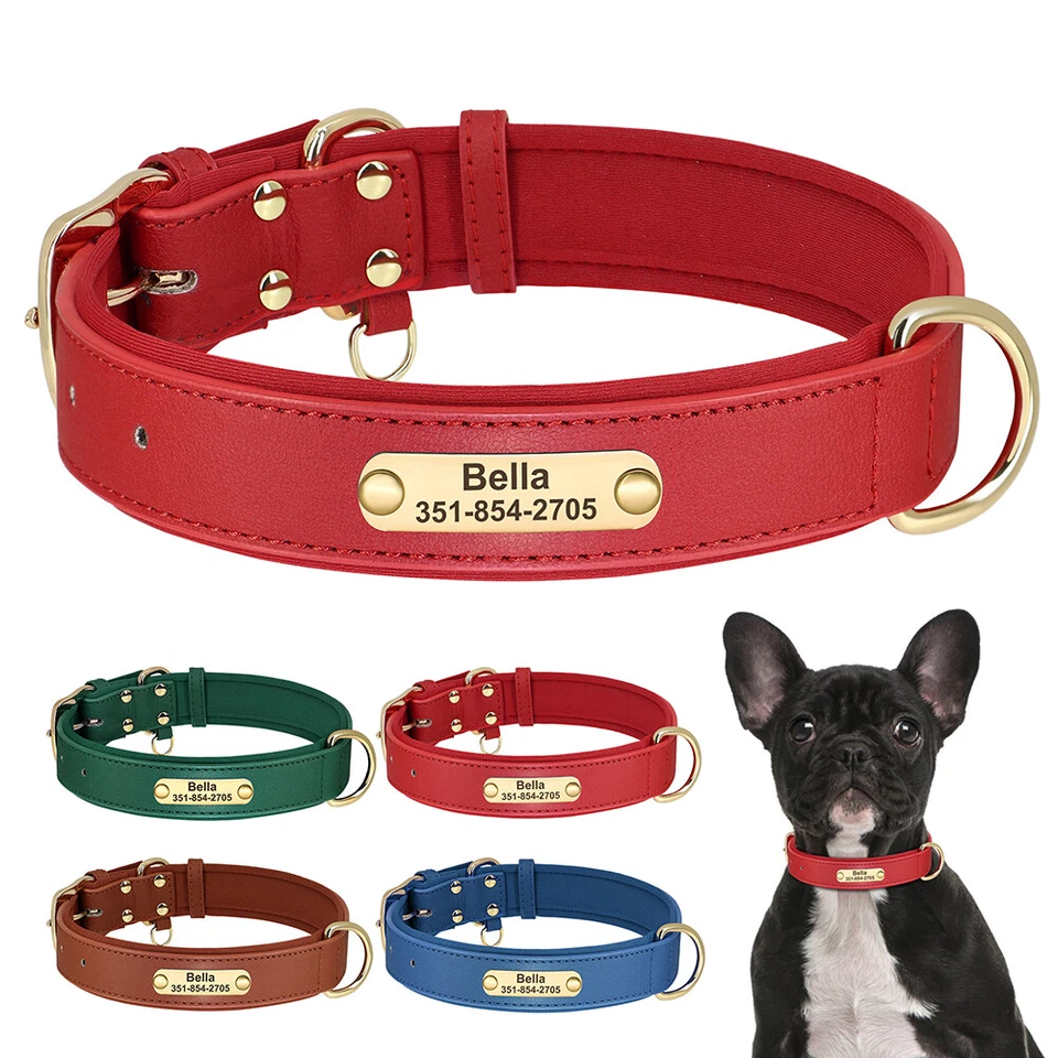 PET ARTIST Hundehalsband mit Namen Personalisiert Halsband Weiches Gepolstert Verstellbar