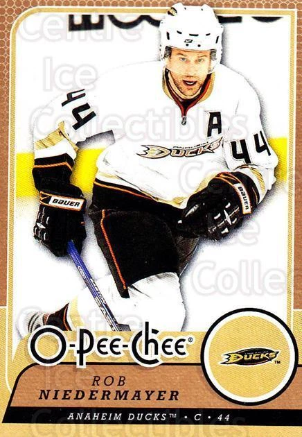 2008-09 O-Pee-chee #125 Rob Niedermayer - Image 1 of 1