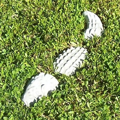 Caimán 23" Estatua de Hormigón, Cemento Cocodrilo Jardín Patio Decoración Foto 1 de 3