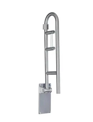 MOEN 30 in Flip-up Grab Bar with Toilet Paper Holder Stainless Steel ADA R8962FD - Image 1 of 3