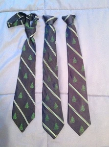 Boys' neck Ties lot of 3 - Prep School - LOOK - nice condition! EUC  Navy Green  - Picture 1 of 12