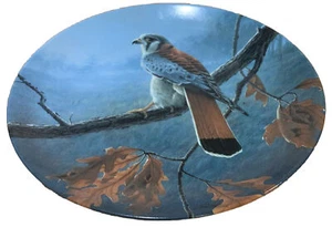 Plato Edwin M. Knowles The American Kestrel Daniel Smith The Majestic Birds - Imagen 1 de 3