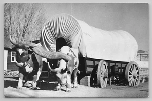 RPPC Kearney NE Golden Gate or Bust Covered Wagon & Oxen on Lincoln Hwy Nebraska - Picture 1 of 4