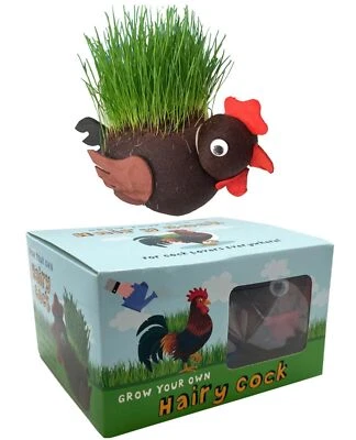 SAVE A BUCK ENTERPRISES, LLC Grow Your own HAIRY C#@K Willy Pecker Chia Pet Plant - Novelty Joke Gag Prank