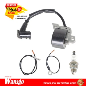 For STHIL 024 026 028 029 034 Chainsaw Ignition Coil with Spark Plug 00004001300 - Picture 1 of 13