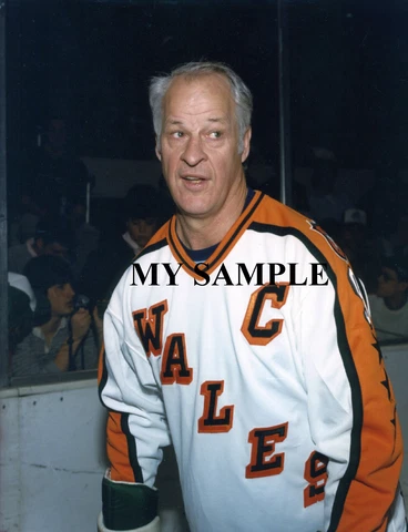 GORDIE HOWE 1986 NHL ALL STAR GAME HOCKEY JERSEY PHOTO DETROIT RED WINGS Cover