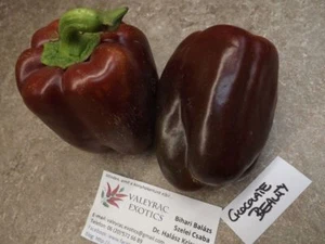 Brown Sweet Pepper - Chocolate Beauty - 5+ Seeds - Heirloom! - Ca 021 - Picture 1 of 1