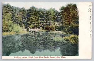 1906 Malden & Melrose, Mass - Parque de reserva Pine Banks - Island Pond postal - Imagen 1 de 3