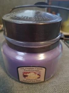 Old Virginia Candle Farm Grown Blueberry Soy Wax Candle 8.5 Oz New - Picture 1 of 4