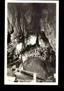 postcard Sea Lion Caves, Oregon RPPC real picture (P-1-C) - Picture 1 of 2