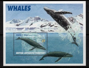 British Antarctic Territory 1996 Humpback Whale miniature sheet SG MS269 U/M - Picture 1 of 1