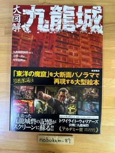 Kowloon Walled City Urban Hong Kong Building illustration Book Japan - Picture 1 of 17