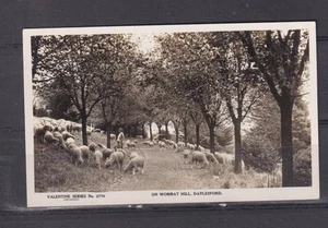 VICTORIA, DAYLESFORD, WOMBAT HILL, c1910 ppc., unused. - Picture 1 of 1