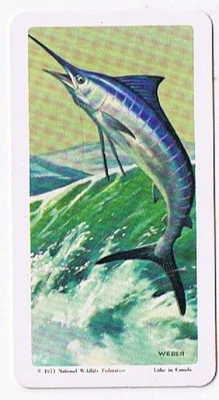 Brooke Bond Red Rose Tea Card #43 Blue Marlin Exploring The Ocean - Image 1 of 2