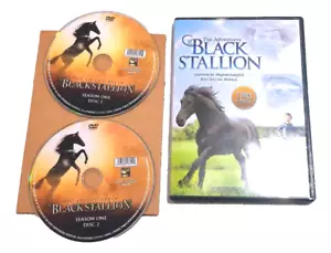 The Adventures of the Black Stallion. Season One, Volume One. 2disc DVD - Picture 1 of 6