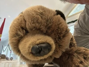 Large 60cm Folkmanis Sierra Club Grizzly Bear Hand Puppet Brown Full Body - Bild 1 von 11