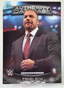 Tarjeta de arte jumbo 2016 Topps WWE Triple H 5X7 #/49 1A - Imagen 1 de 1