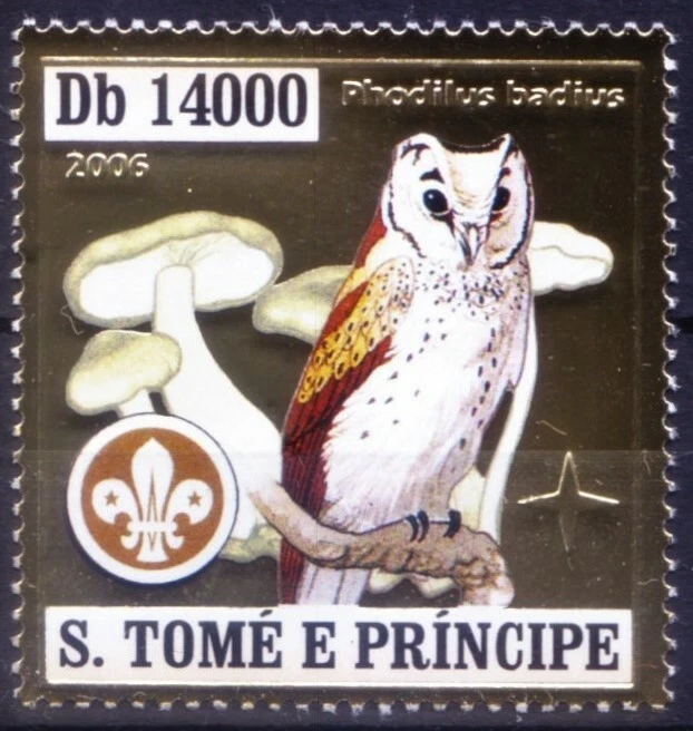 Santo Tomé 2006 MNH, Oriental Bay Owl, Birds of Prey, Scout, extraña lámina de oro  Foto 1 de 1